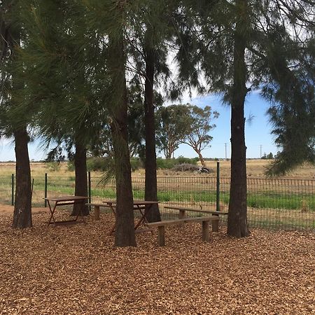 Aussie Cabins Hotel Dubbo Ngoại thất bức ảnh