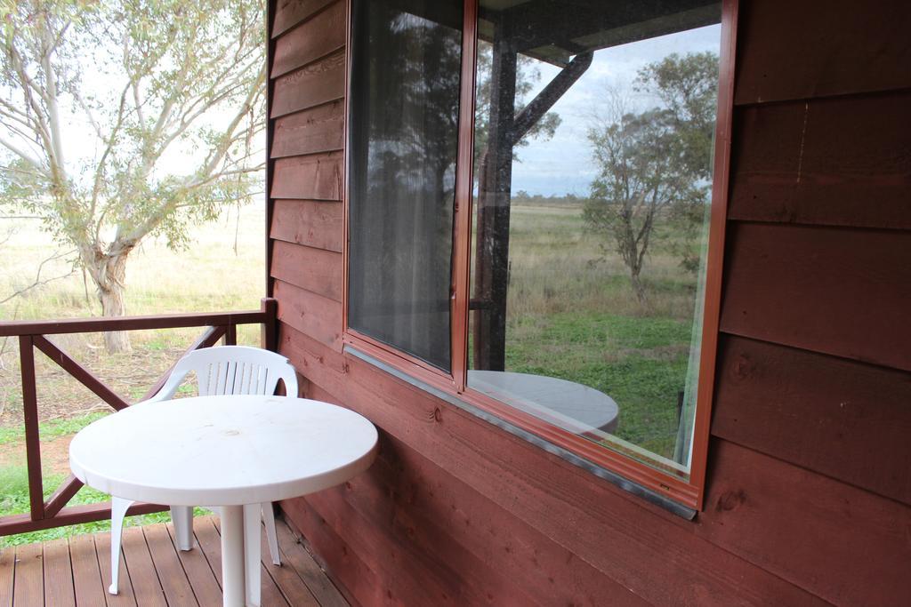 Aussie Cabins Hotel Dubbo Phòng bức ảnh